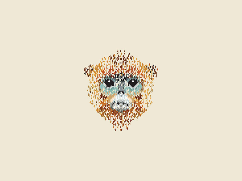 Earlier work by Aaron Heth
